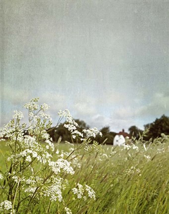 Framed In the Pasture Print