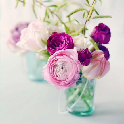 Framed Pink Ranunculus Print