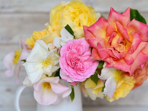 Framed Color Burst Print