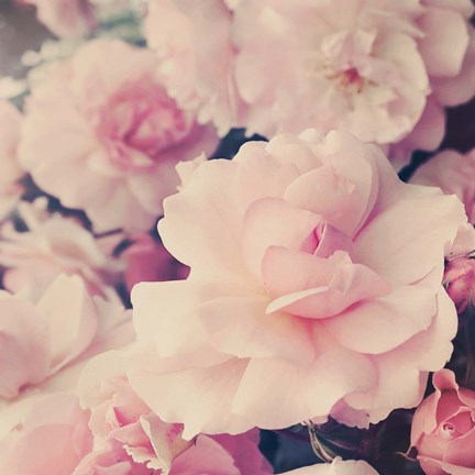 Framed Pink Blossoms I Print