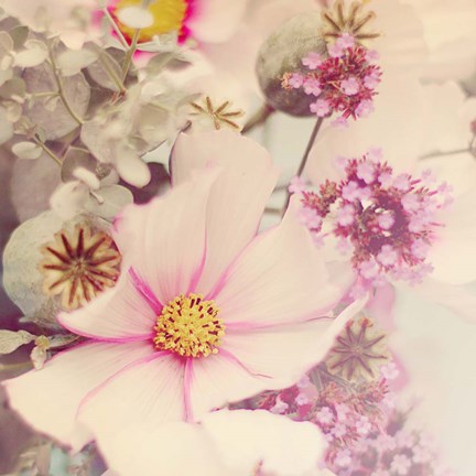 Framed Pink Blossoms II Print
