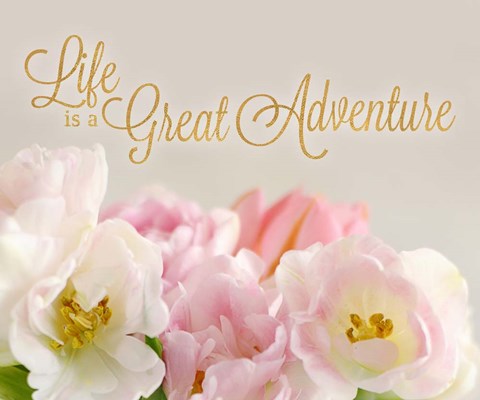Framed Life is a Great Adventure Print