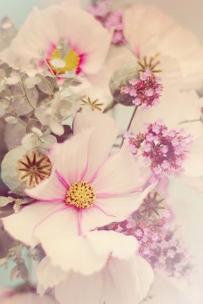 Framed Pink Blossoms II Print