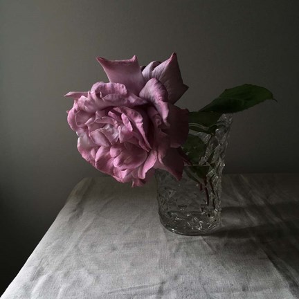 Framed Florals In The Dark Print