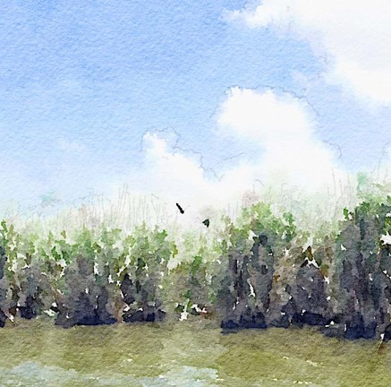 Framed Watercolor Black Hammock Lake Print