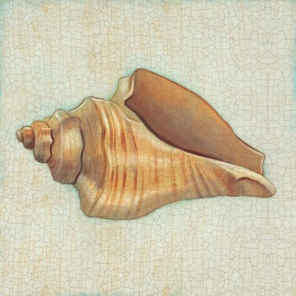 Framed Coastal Treasures II Print