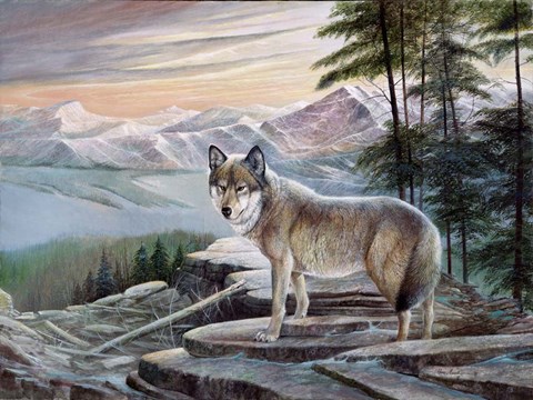 Framed Sentinel Print