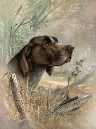 Framed Beauty on Point Print