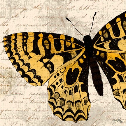 Framed Golden Dreams I Print