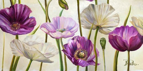 Framed Poppies in Spring I Print