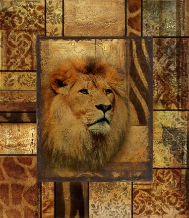 Framed Decorative Safari II (Lion) Print