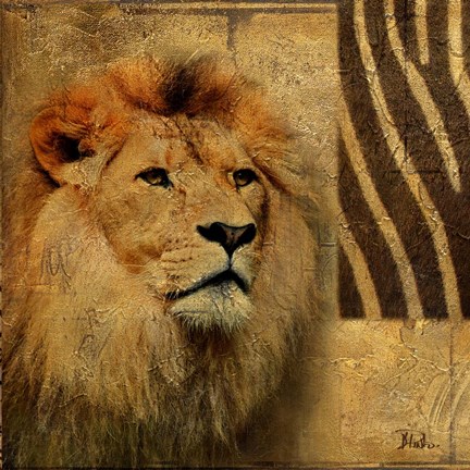 Framed Elegant Safari II (Lion) Print