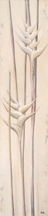 Framed White Heliconias II Print