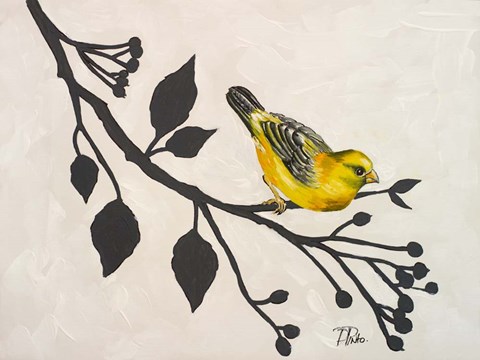 Framed Yellow Bird On the Branch I Print