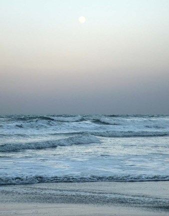 Framed Daytona Gray I Print