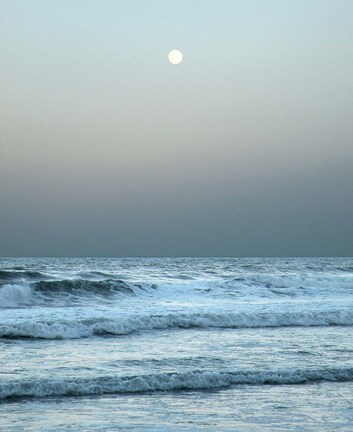 Framed Daytona Gray II Print