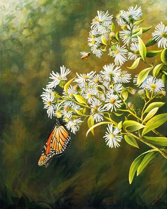 Framed Garden Life Print