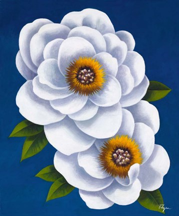 Framed White Flowers on Blue I Print