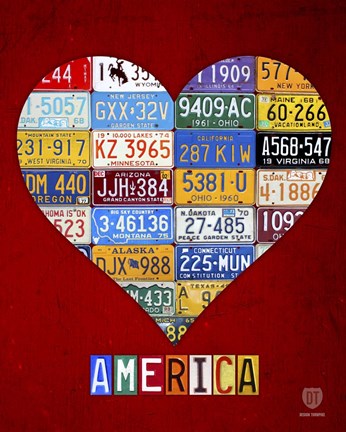 Framed America Print