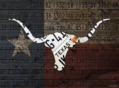 Framed Longhorn Art With Flag Print