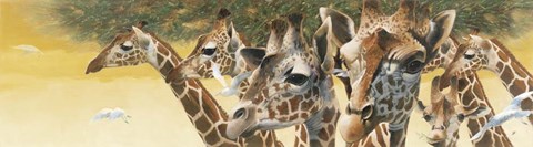 Framed Walk in the Sun Print