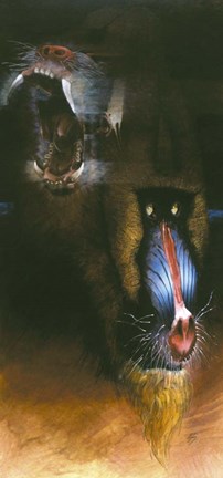 Framed Baboon Scream Print