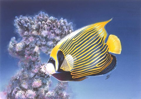 Framed Emperor Angel Print