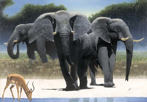 Framed Approach Print