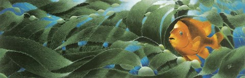 Framed Emerald Forest Print