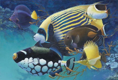 Framed Emporer Angel Print