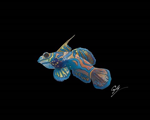 Framed Mandarin Print