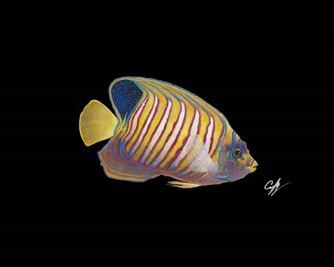 Framed Regal Angel Print