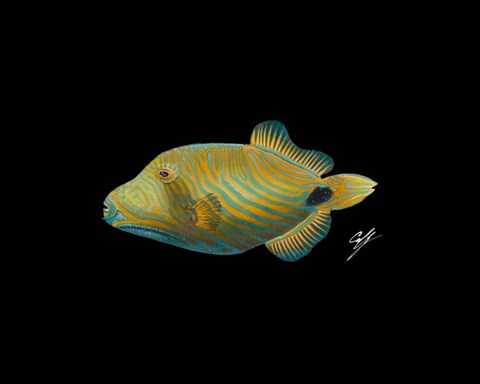 Framed Undulate Trigger Print