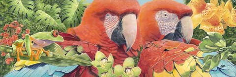 Framed Scarlet Macaws Print