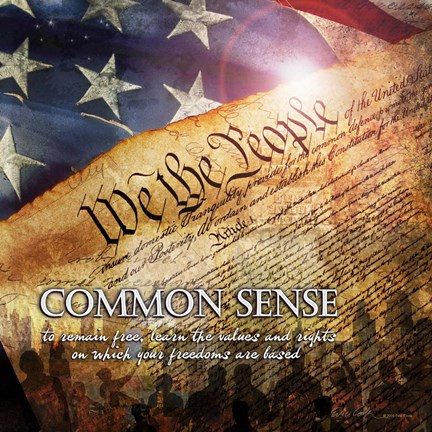 Framed Common Sense Print