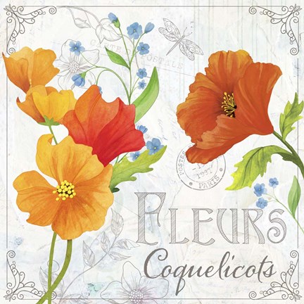 Framed Fleurs IV Print