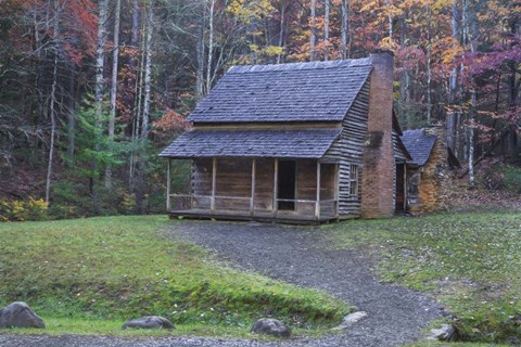 Framed Henry Whitehead Place Print