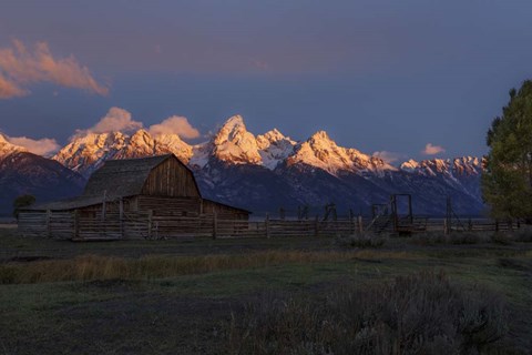 Framed Moulton Barn At Sunrise Print