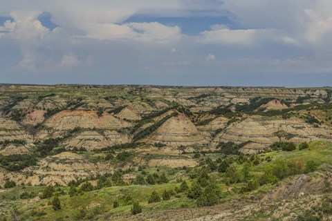 Framed Painted Canyon 2 Print