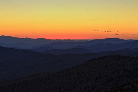 Framed Sunset (GSMNP) Print