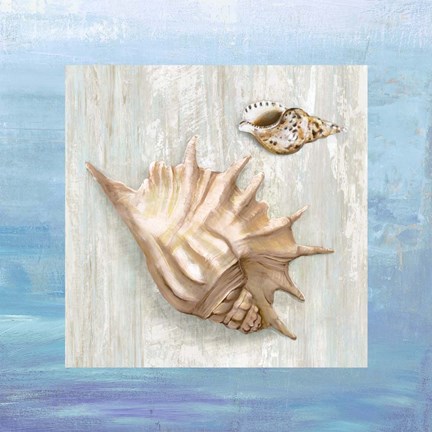 Framed From the Sea III Print