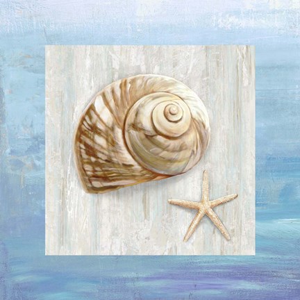 Framed From the Sea IV Print