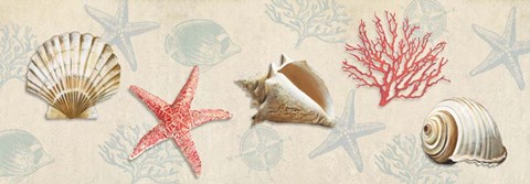 Framed Gifts from the Ocean Print