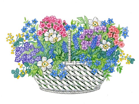 Framed Phlox Basket Print