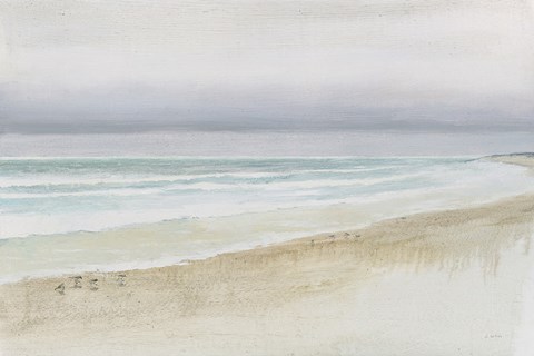 Framed Serene Seaside Print