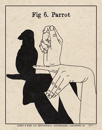 Framed Art of Shadows VI Print