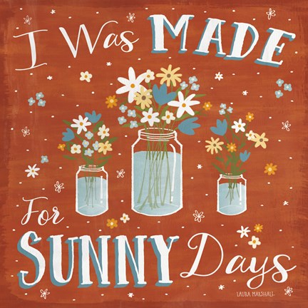 Framed Summer Sunshine VII Print