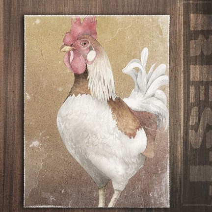 Framed Rooster II Print