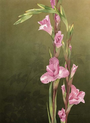 Framed Glad Sisters Print