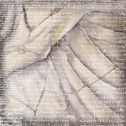 Framed Tuscan II Print